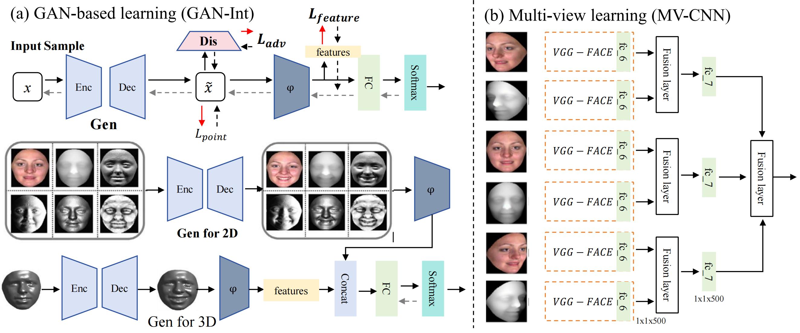 3D SFER Image.