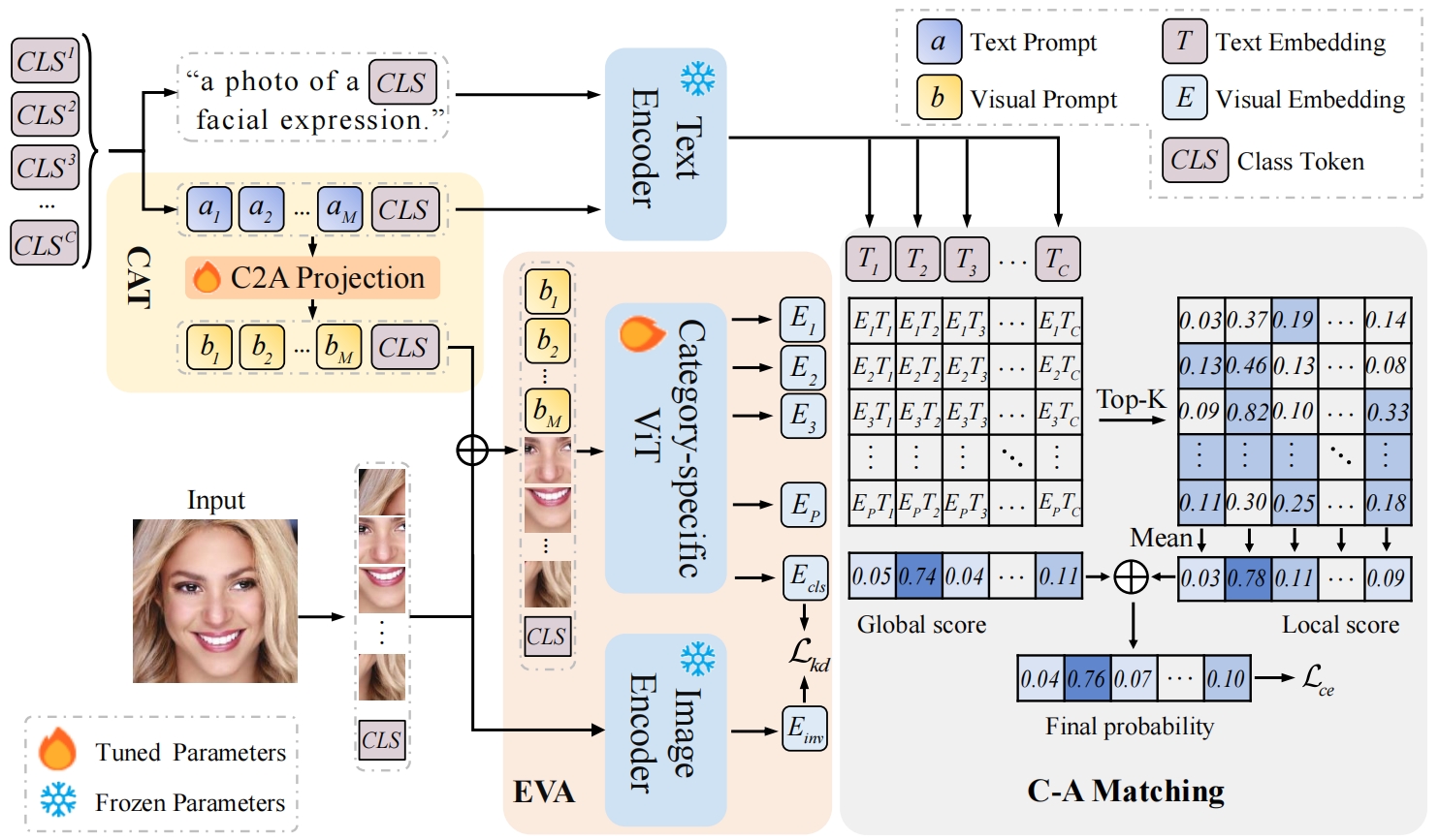 Cross-modal SFER Image.