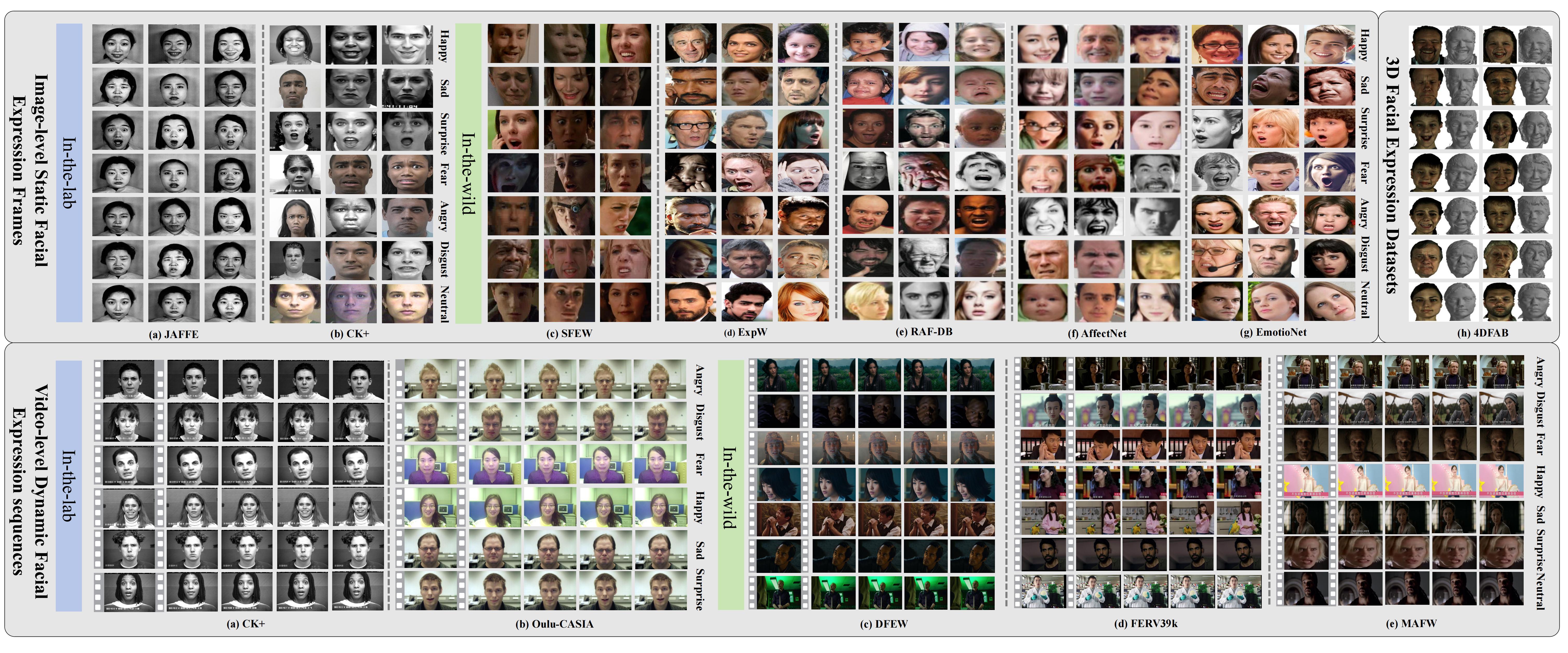 Datasets.