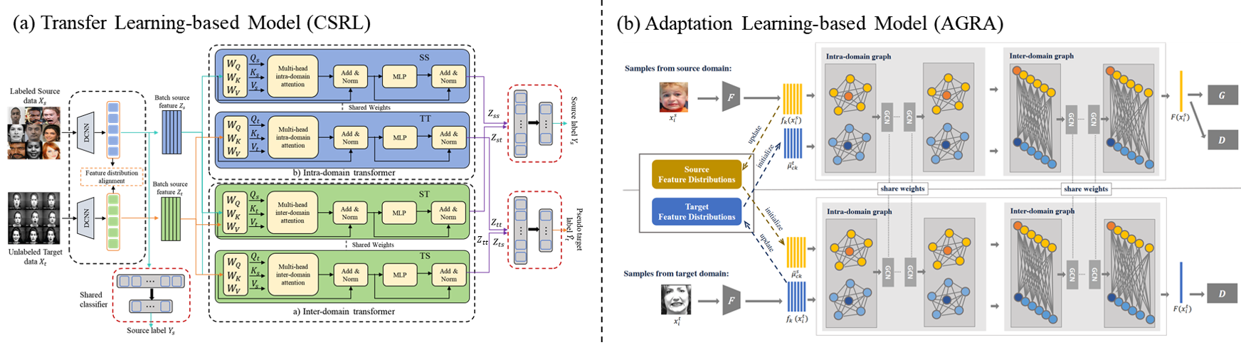 Cross-domain SFER Image.