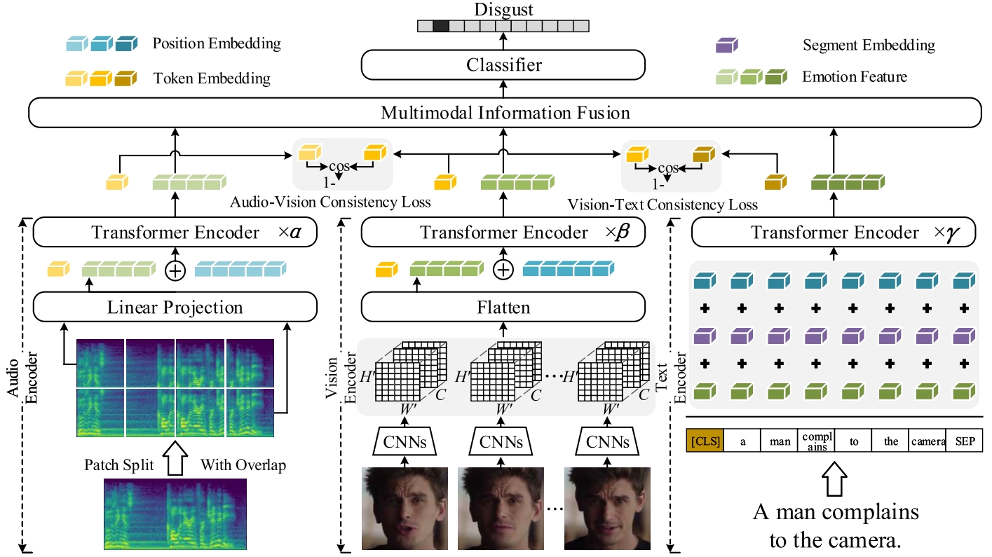 Multi-modal DFER Image.